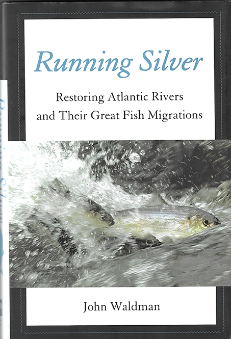 Running Silver book cover; fish fighting the current to swim upstream