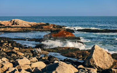 A Cleaner and Warmer Narragansett Bay