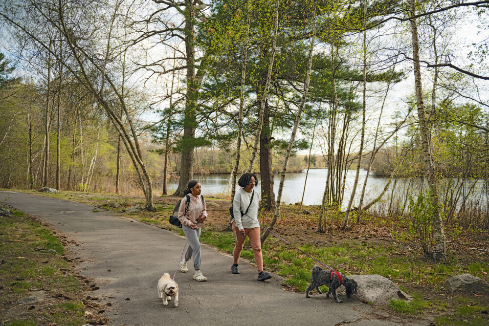 Family wallking dogs down wooded path in D.W. Field Park in Brockton, Massachusetts.