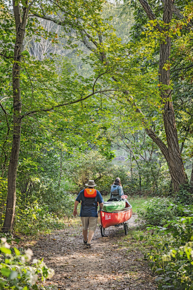 Transporting kayaks through the forest, down to the Blackstone River.