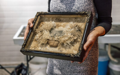 Marine Algae As Art