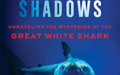 Chasing Shadows