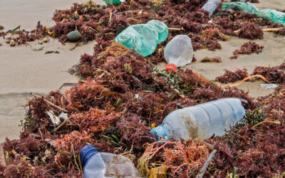 Capping Plastic Pollution